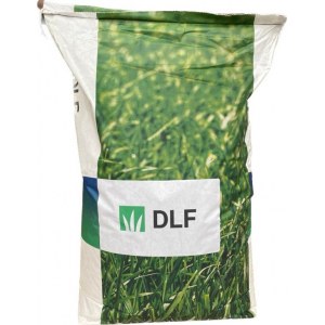 Смесь райграсов M3