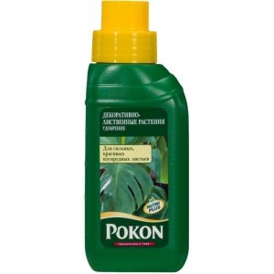 Удобрение Pokon для декоративно-лиственных растений (250 мл)