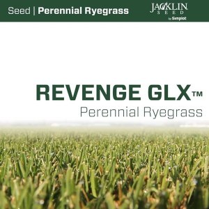 Райграс пастбищный Revenge GLX (22,68 кг)