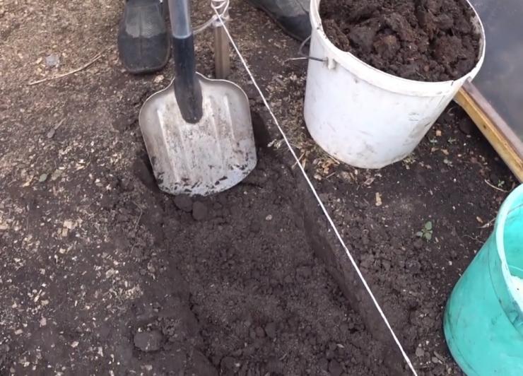 Как посадить клубнику под укрывной материал